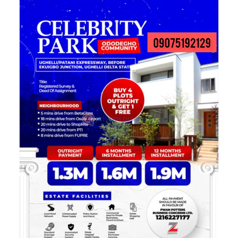 For sale Land Along Ughelli Patani Expressway, Before Ekuigbo Junction