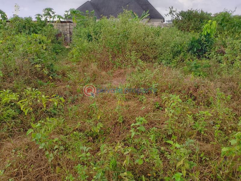 Residential Land For Sale Eleran Igbe Ibeju-Lekki Lagos - 5