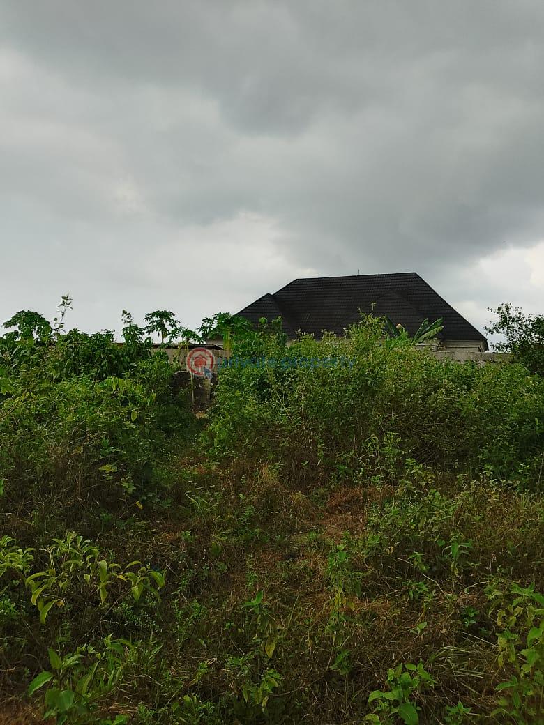 Residential Land For Sale Eleran Igbe Ibeju-Lekki Lagos - 3