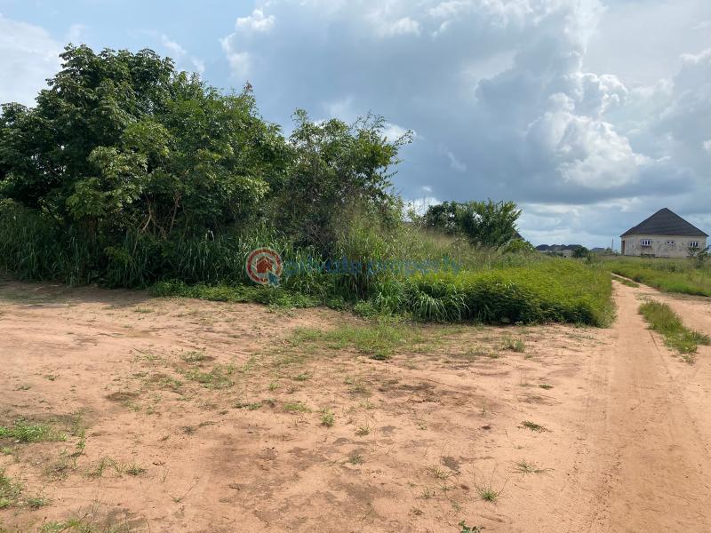 Residential Land For Sale Gold Palm Estate Off Owerri Portharcourt Rd, Owerri, Imo State Owerri Imo - 5