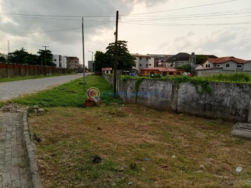 Mixed use Land For Sale Charles Ifeanyi Lekki Phase 1 Lagos - 4