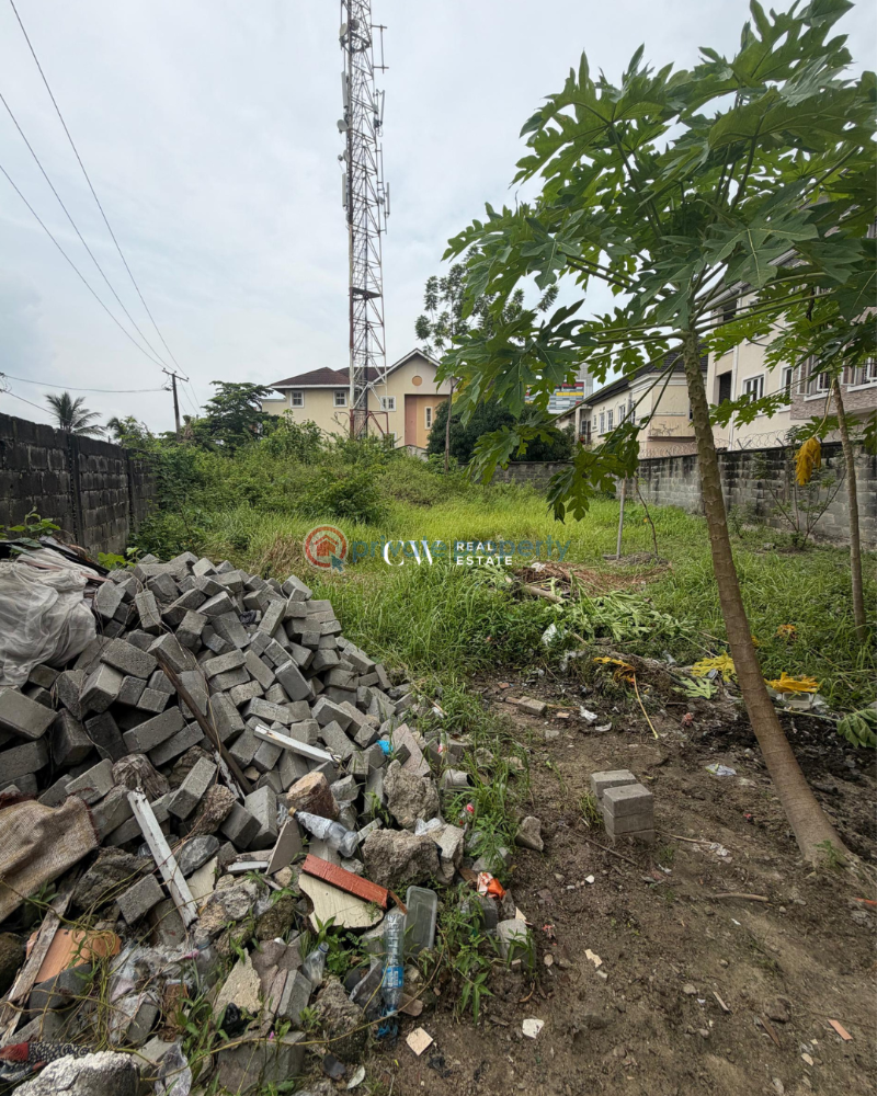 Land For Sale Lekki Phase 1 Lagos