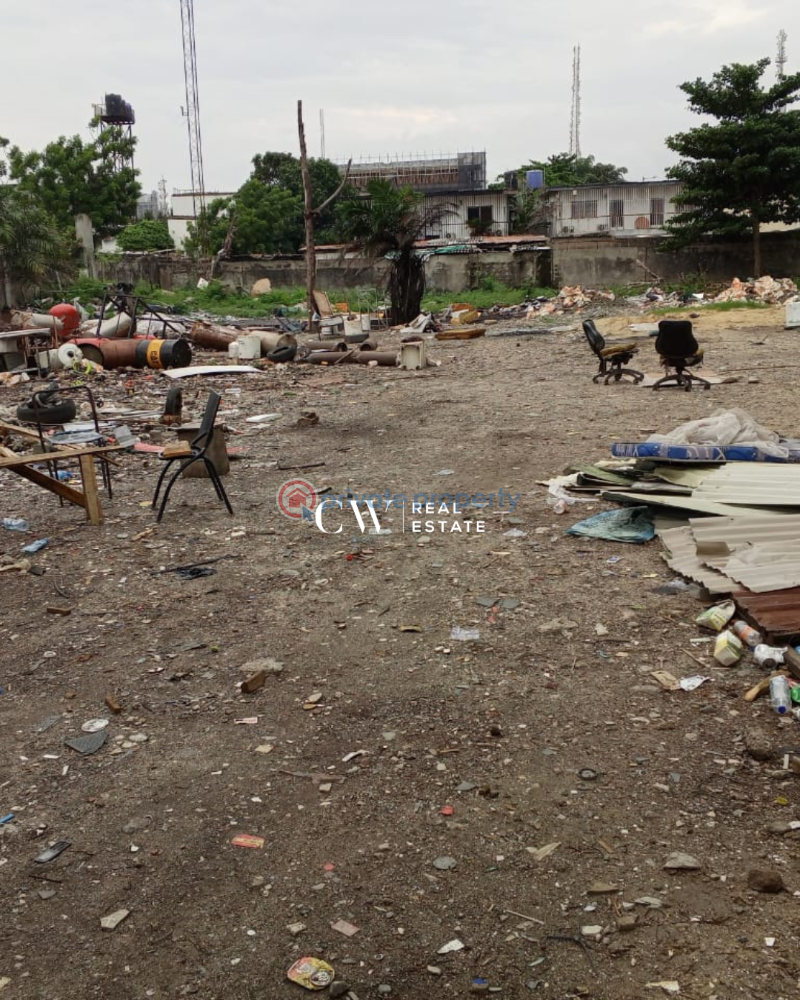 Land For Sale Victoria Island Lagos - 0