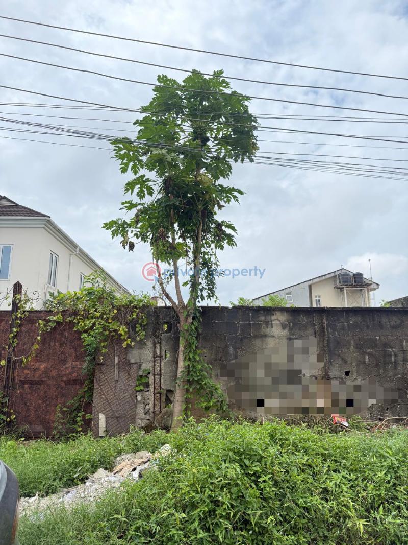 Land For Sale Lekki Phase 1 Lagos
