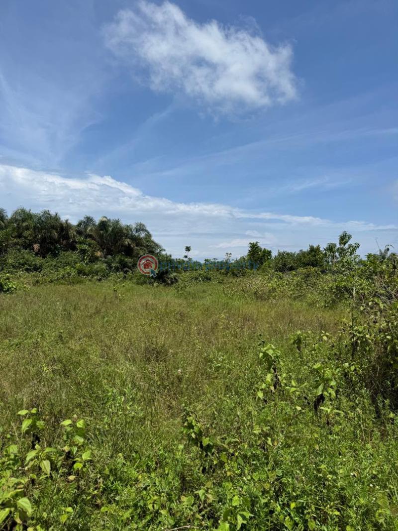 Residential Land For Sale Amen Estate Phase 1 Eleko Ibeju-Lekki Lagos - 0