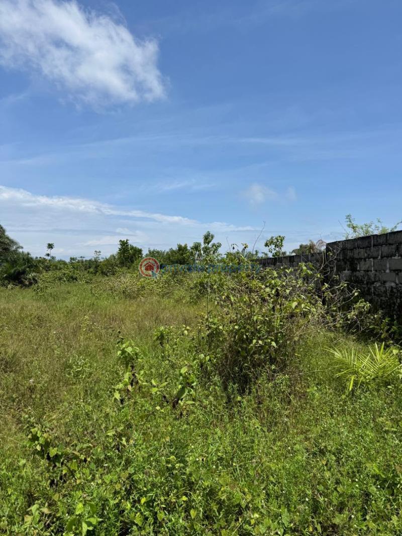 Residential Land For Sale Amen Estate Phase 1 Eleko Ibeju-Lekki Lagos - 1