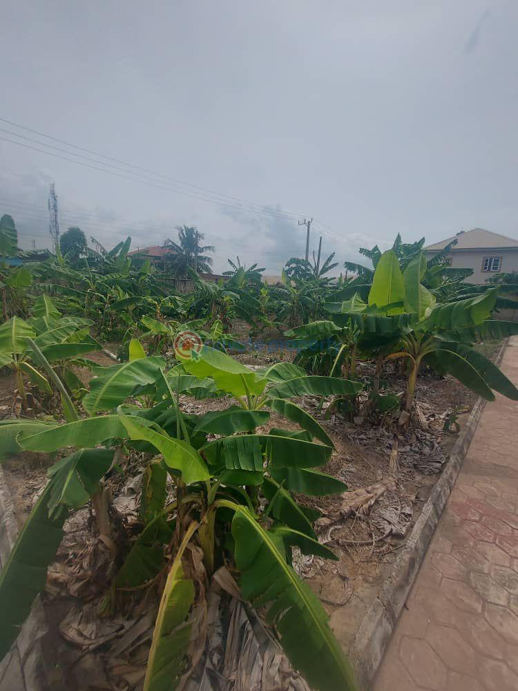 Mixed use Land For Sale Journalist Estate Arepo Lagos Extension Ogun - 3