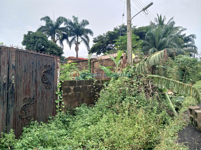 Land For Sale Jericho, Gra Ibadan Oyo - 3