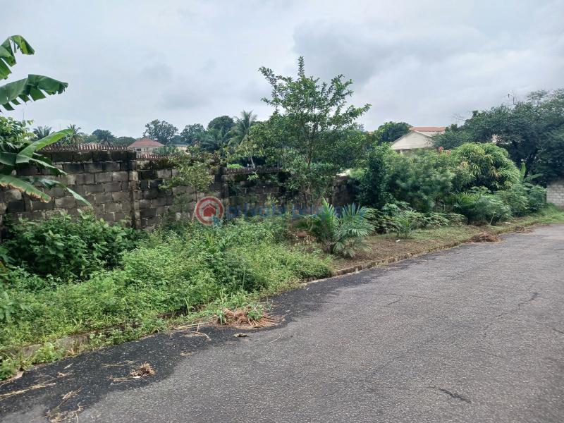 Land For Sale Jericho, Gra Ibadan Oyo - 5