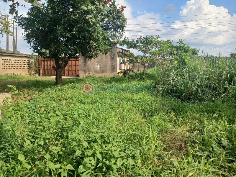 Mixed use Land For Sale Oluyole Estate Ibadan Oyo - 1