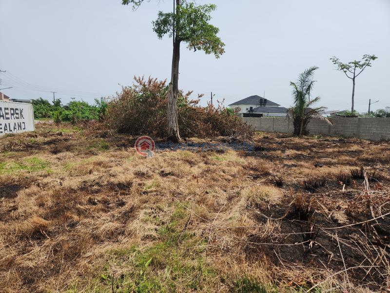 Joint Venture Land For Sale Otunba Idowo Soyege Lekki Expressway Lagos - 6