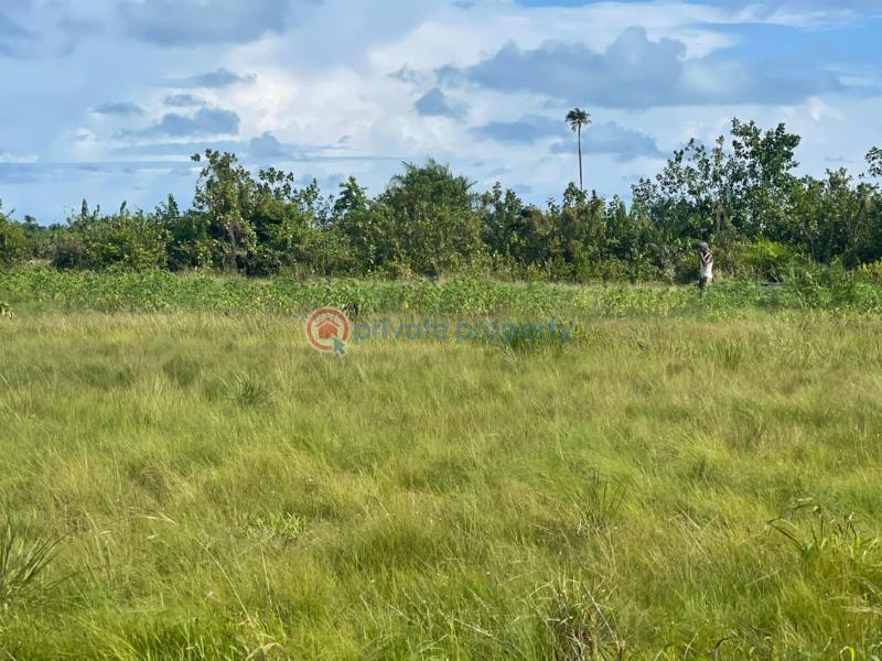 Residential Land For Sale Ibeju-Lekki Lagos - 1