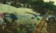 Residential Land For Sale Majidun Ikorodu Lagos