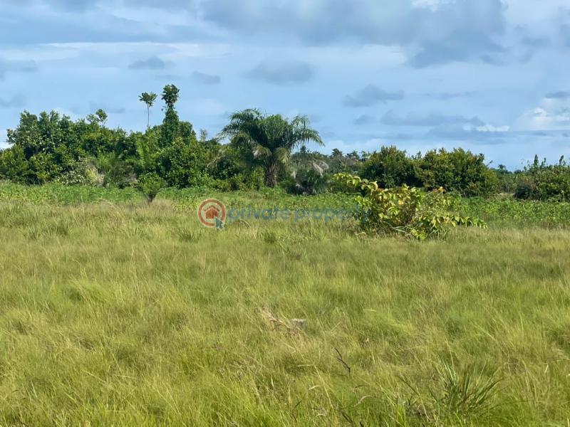 Residential Land For Sale Ibeju-Lekki Lagos - 3