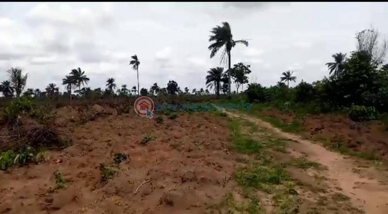 Mixed use Land For Sale Charisma Garden Estate Located At Ogbor Hills Ovom Aba Abia State Abia  - 0