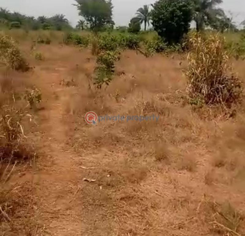 Mixed use Land For Sale Owerri Mega City Located Obosima Off Owerri Port Harcourt Road Owerri Imo - 1