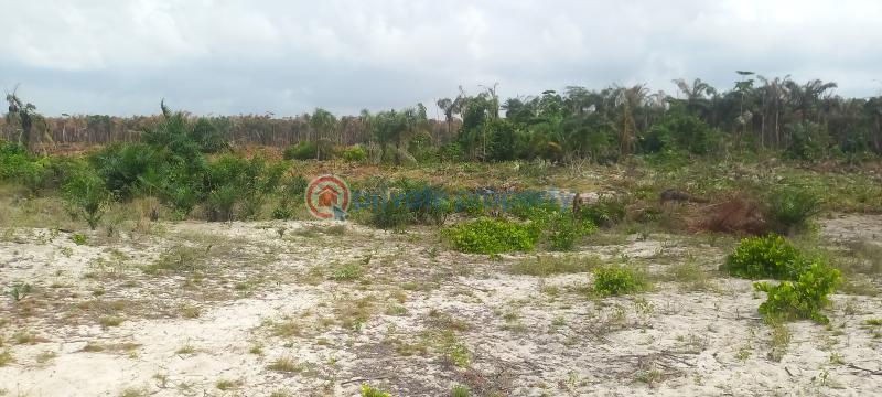 Residential Land For Sale Peak Bay Estate Okun Mopo Via Monastery Road Sangotedo Lagos Sangotedo Ajah Lagos - 32