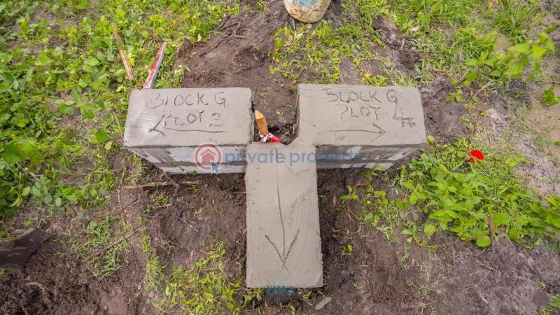 Residential Land For Sale Tiwa Garden City Phase 2 Estate Lekk Epe Expressway Eleko Ibeju-Lekki Lagos - 9