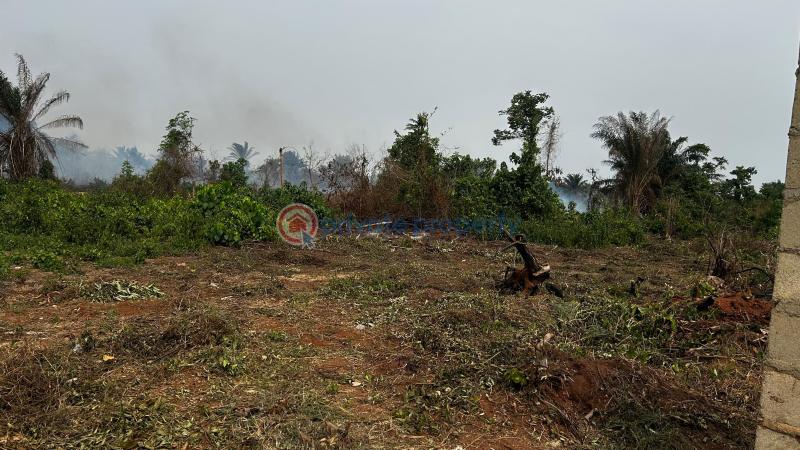 Residential Land For Sale Aviance Prosperity Estate In Oke Away,10mins Drive To Punch Newspaper Ofada Ogun area 