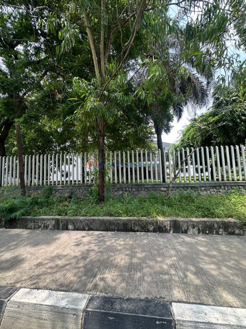 Land For Sale Alexander Road Ikoyi Lagos