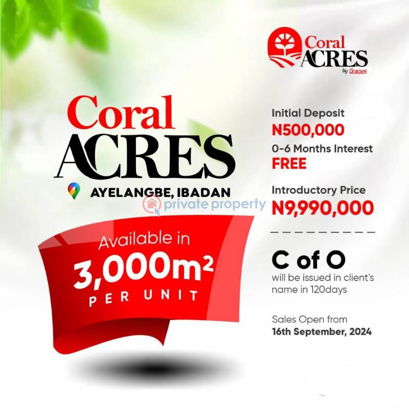 Residential Land For Sale Coral Acres Estate Ijaye Ibadan Ijaiye Orile Ibadan Oyo - 5