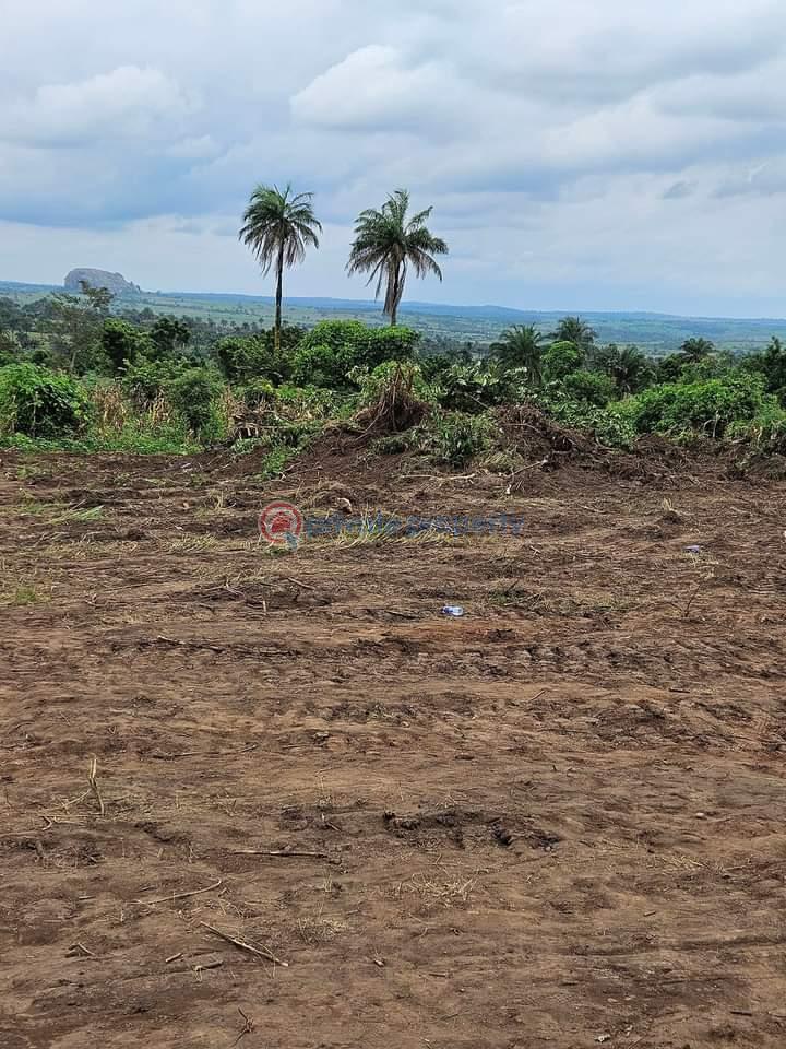 Residential Land For Sale Coral Acres Estate Ijaye Ibadan Ijaiye Orile Ibadan Oyo - 1