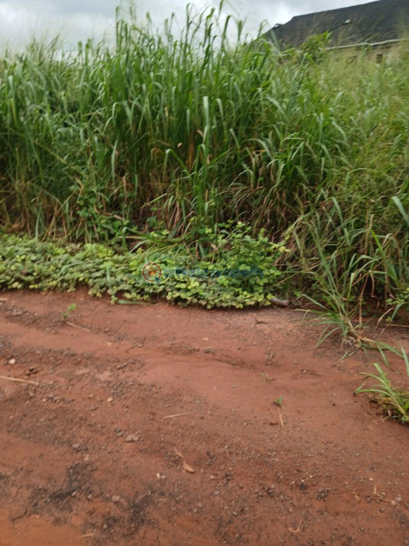 Residential Land For Sale Queens Park Estate Phase 2 Mowe Ofada Obafemi Owode Ogun - 26