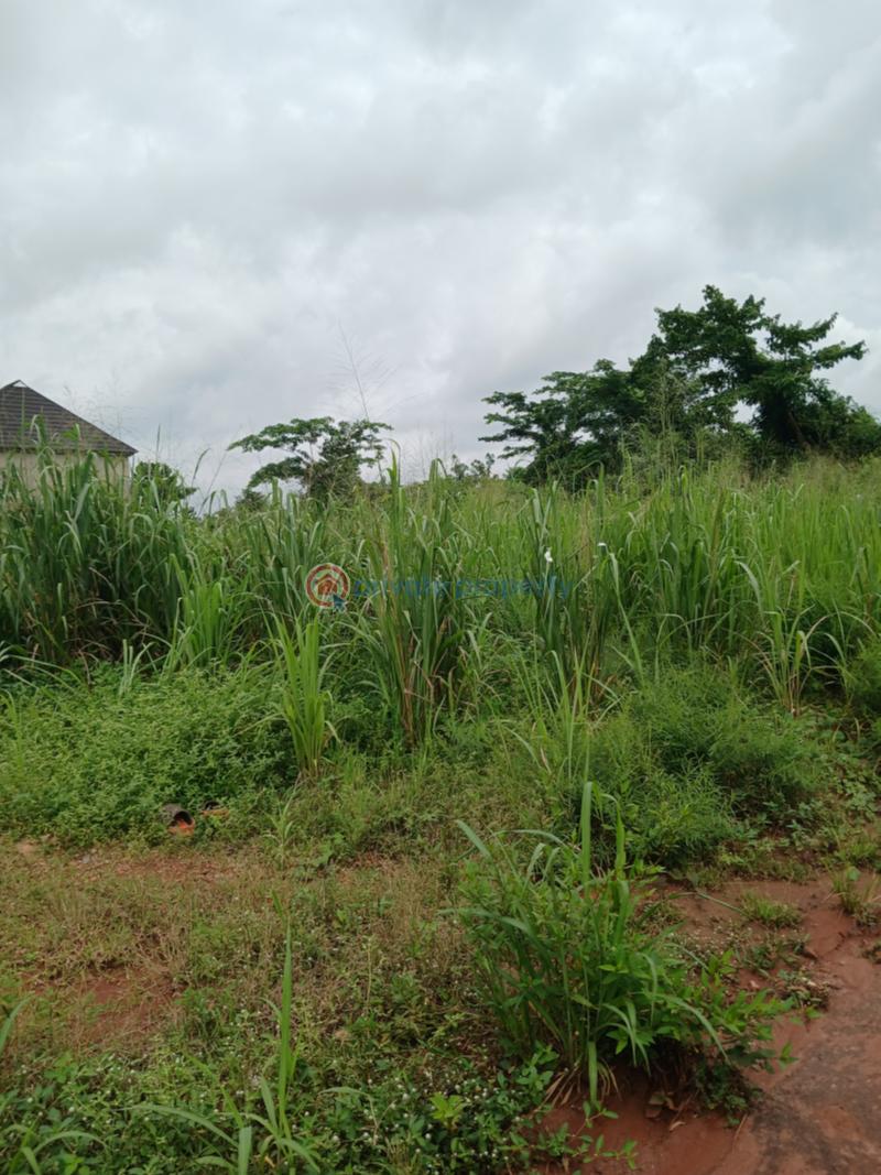 Residential Land For Sale Queens Park Estate Phase 2 Mowe Ofada Obafemi Owode Ogun - 29