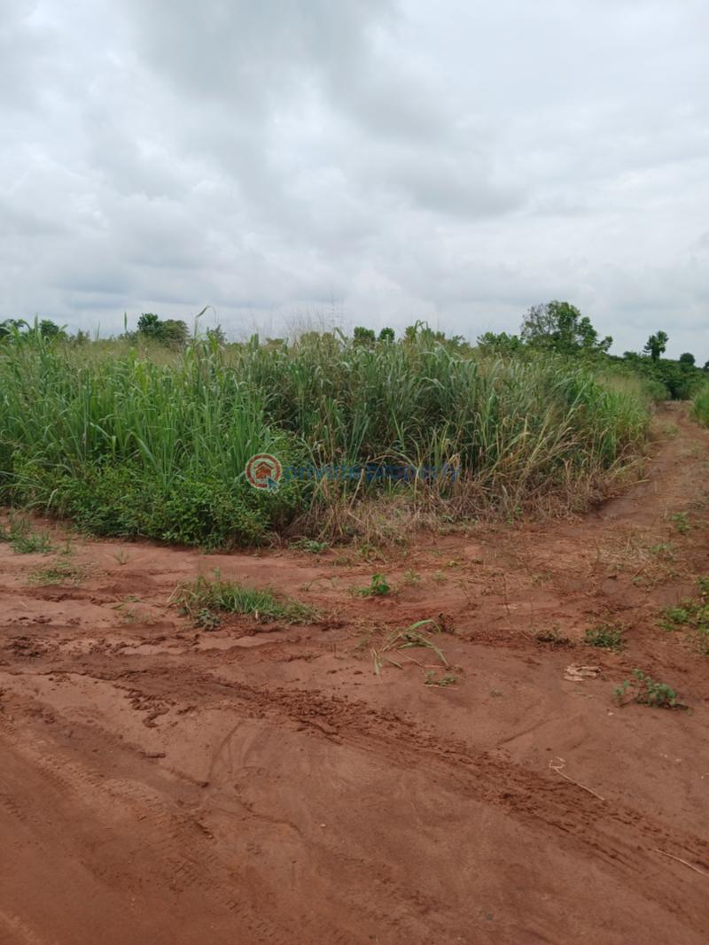 Residential Land For Sale Queens Park Estate Phase 2 Mowe Ofada Obafemi Owode Ogun - 43