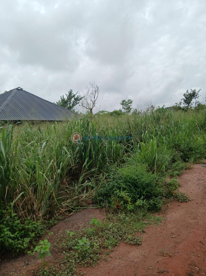 Residential Land For Sale Queens Park Estate Phase 2 Mowe Ofada Obafemi Owode Ogun - 24