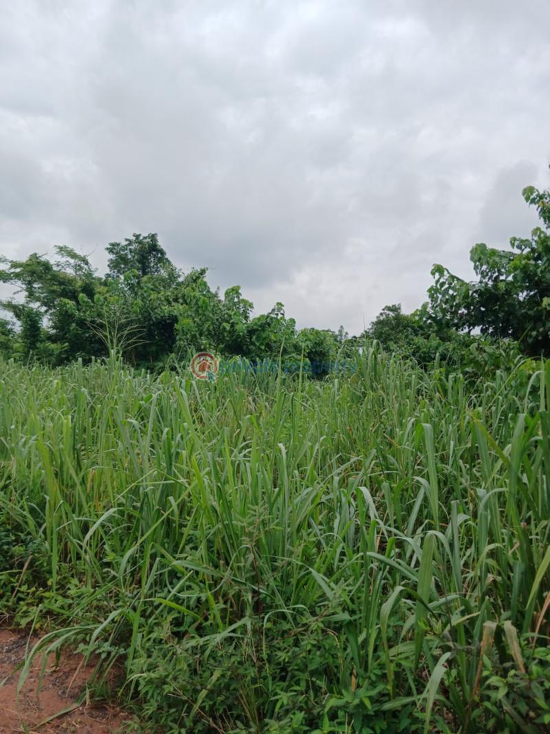 Residential Land For Sale Queens Park Estate Phase 2 Mowe Ofada Obafemi Owode Ogun - 19