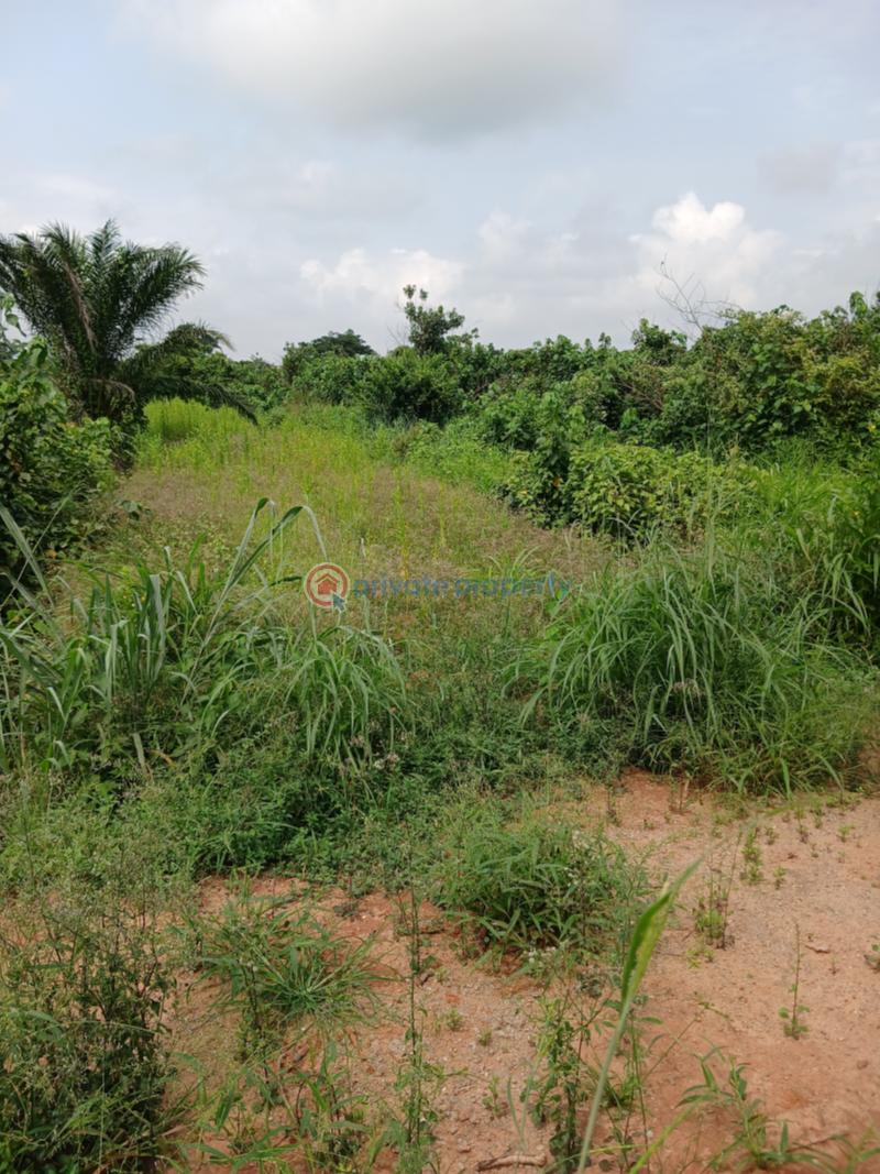 Residential Land For Sale Stl Court Scheme 1 By Mowe Market Mowe Ogun area  - 48