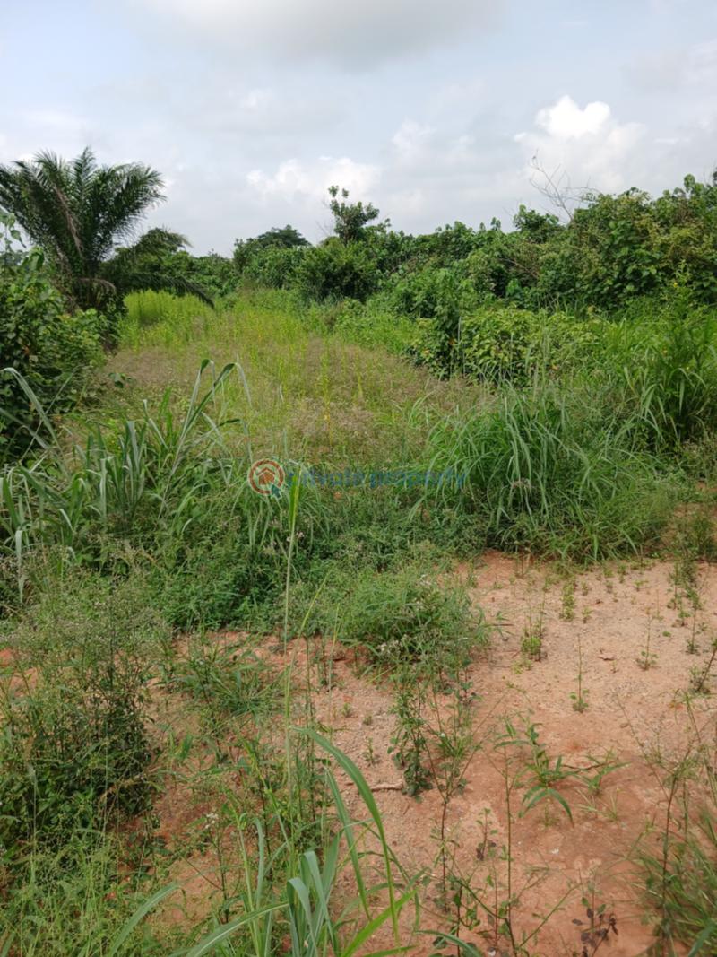 Residential Land For Sale Stl Court Scheme 1 By Mowe Market Mowe Ogun area  - 51
