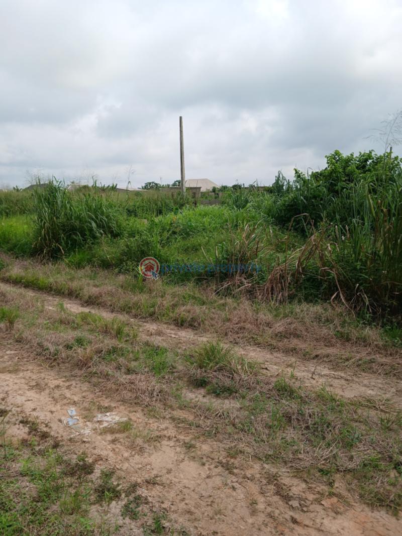 Residential Land For Sale Stl Court Scheme 1 By Mowe Market Mowe Ogun area  - 50