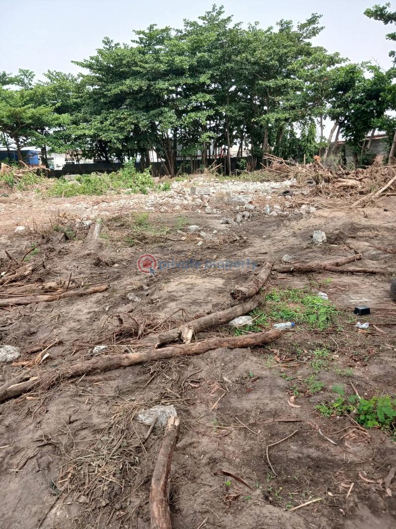 Residential Land For Sale Victoria Garth Castle Estate Inside Road 1 Victoria Garden City Victoria Garden City Lekki Lagos - 3
