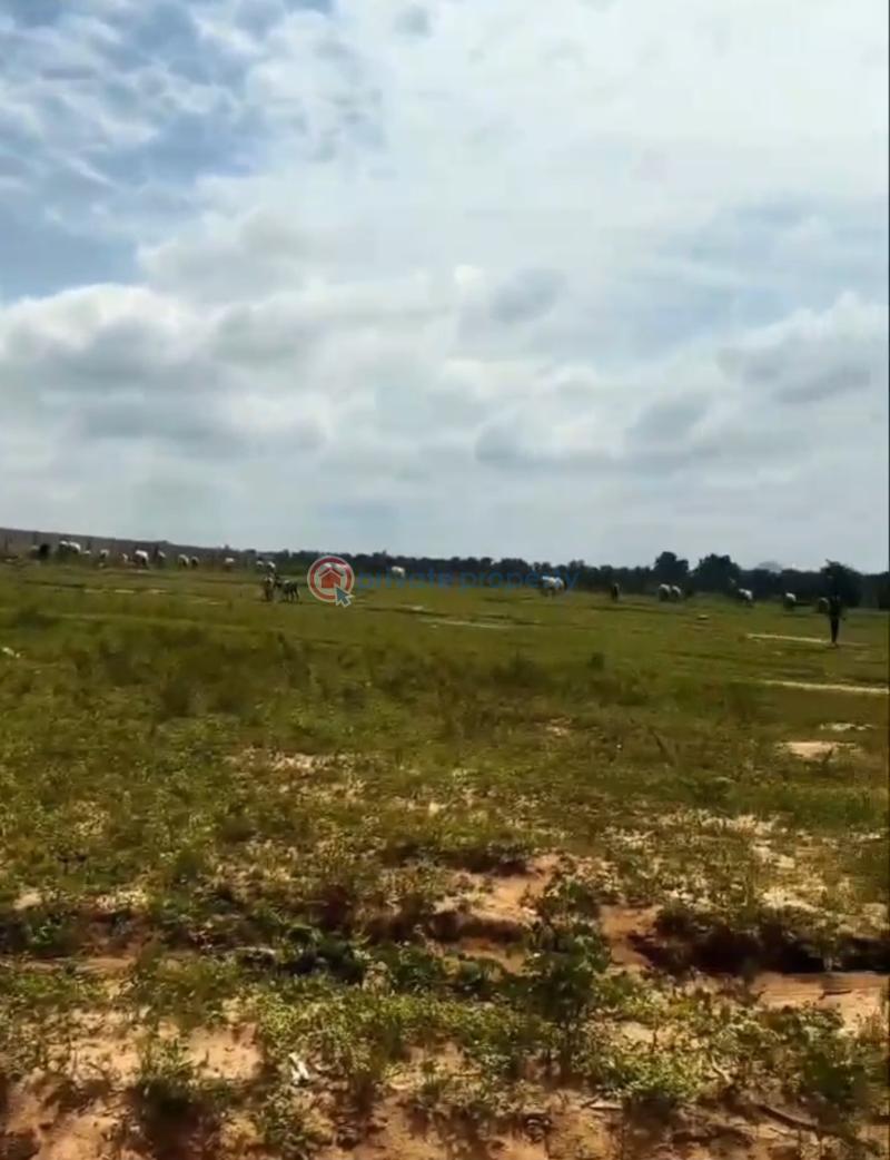 Residential Land For Sale Newtown Resort Estate Life Camp Abuja Life Camp Abuja Phase 3  - 3