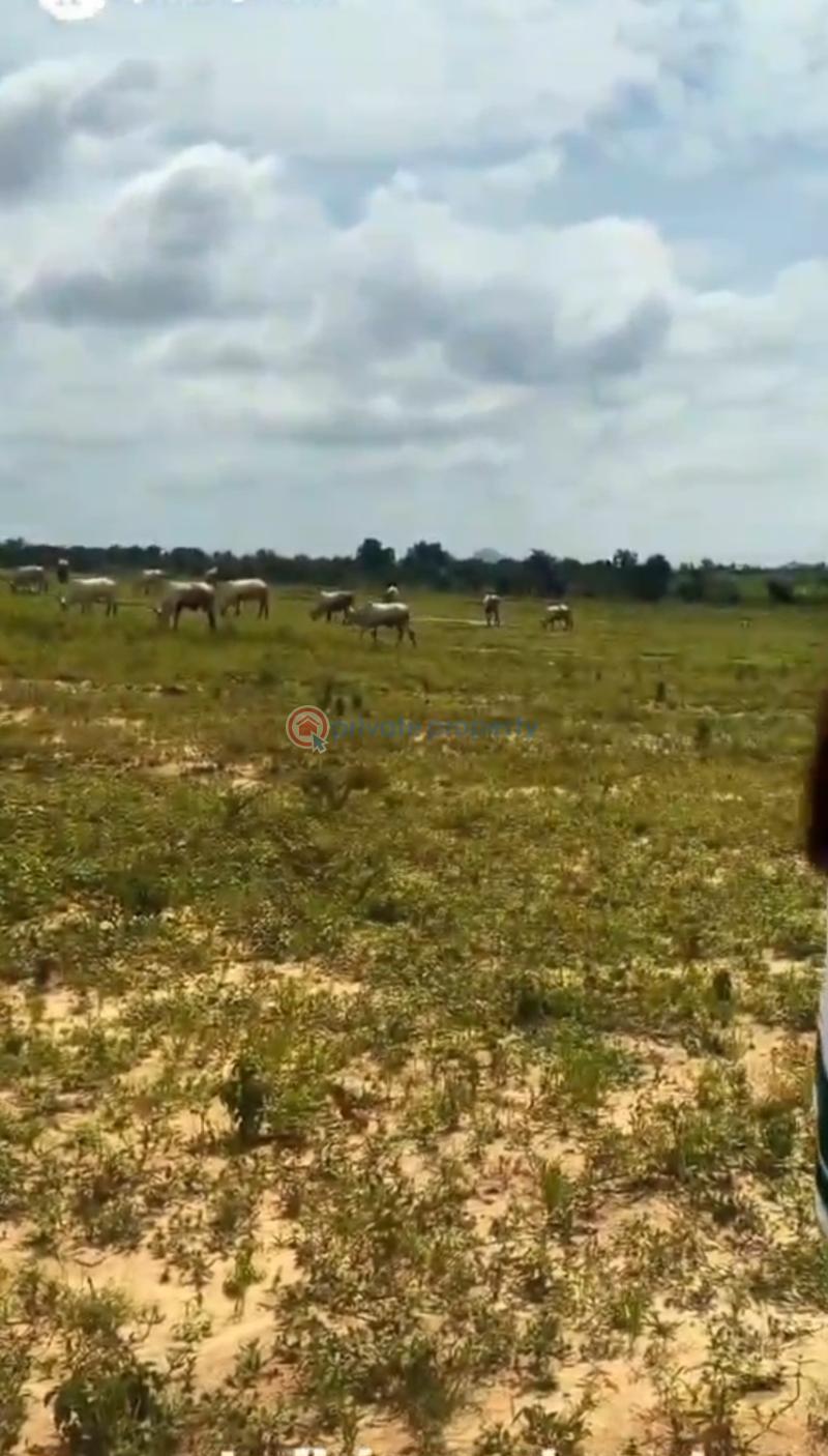 Residential Land For Sale Newtown Resort Estate Life Camp Abuja Life Camp Abuja Phase 3  - 5