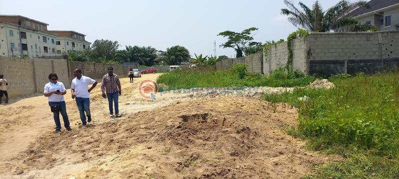 Land For Sale Pipi Island Estate Ii General Paint Beside Lekki Gardens Phase Iv Ajah Abraham Adesanya Ajah Lekki Lagos Abraham Adesanya Ajah Lagos - 8