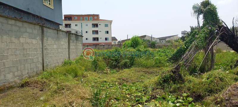 Land For Sale Pipi Island Estate Ii General Paint Beside Lekki Gardens Phase Iv Ajah Abraham Adesanya Ajah Lekki Lagos Abraham Adesanya Ajah Lagos - 5