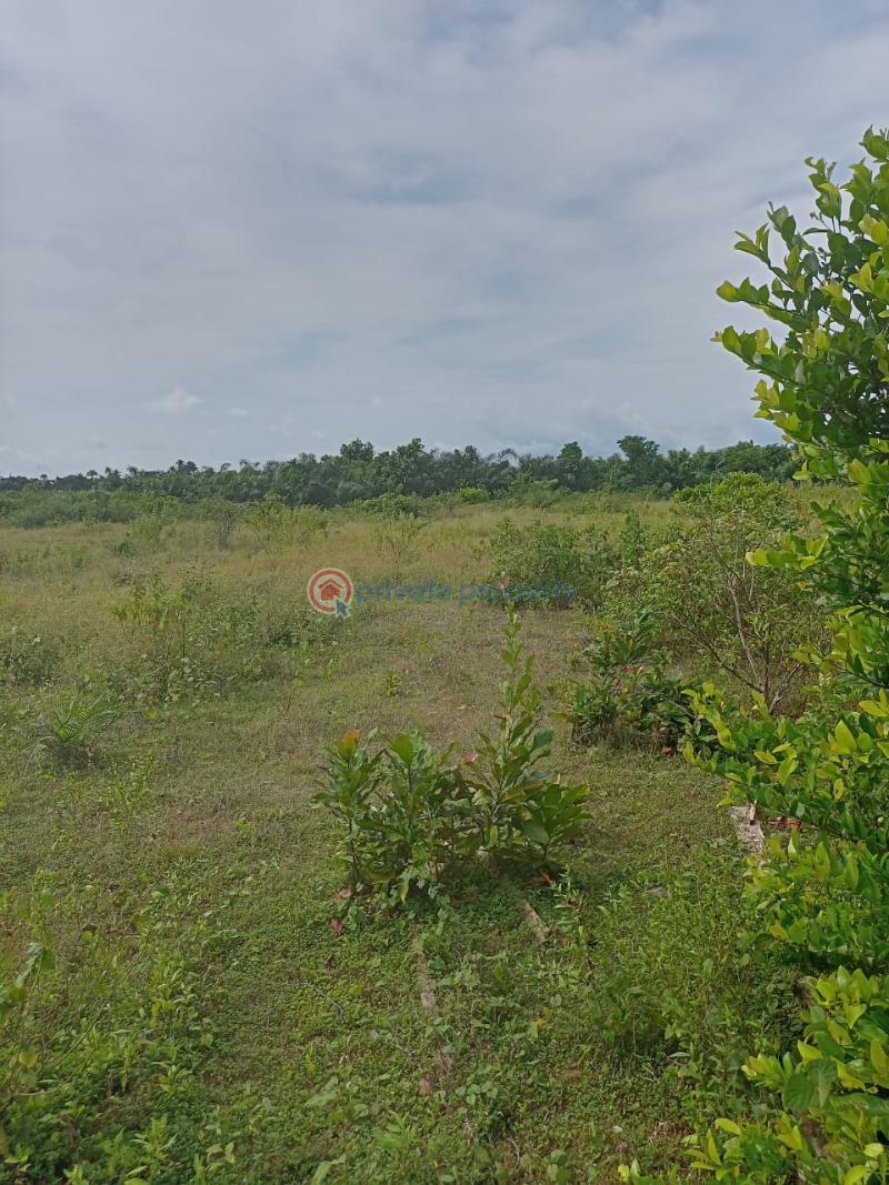 Residential Land For Sale Maplewoods Pearl Estate Ilagbo Ibeju Lekki Lagos Eleko Ibeju-Lekki Lagos - 0