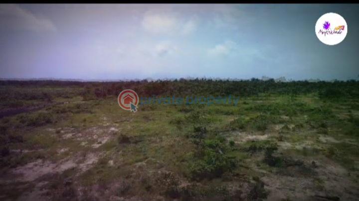 Residential Land For Sale Maplewoods Pearl Estate Ilagbo Ibeju Lekki Lagos Eleko Ibeju-Lekki Lagos - 5