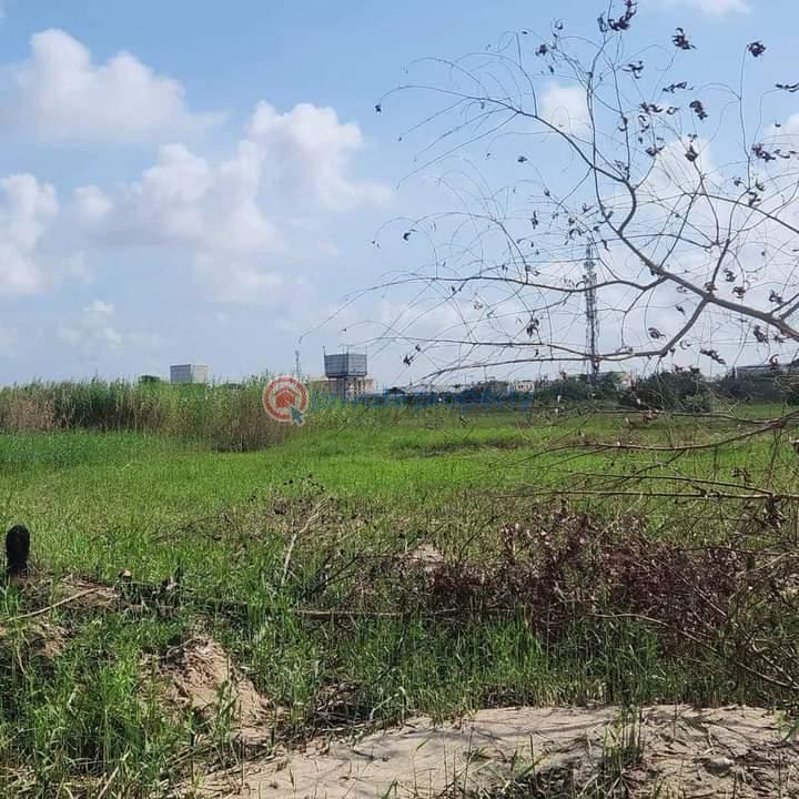 Residential Land For Sale Chevy Castle Acres Estate Chevron Drive Lekki Lagos Chevron Drive Lekki Lagos - 1
