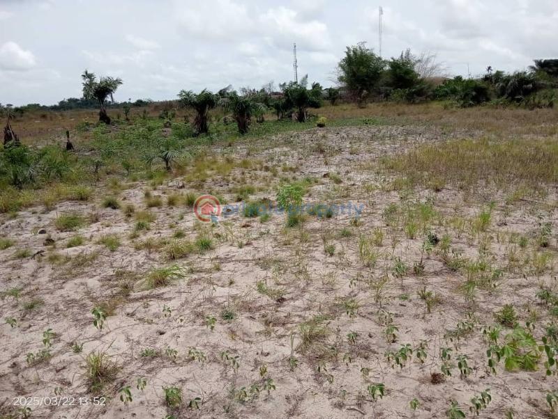 Residential Land For Sale Suncity Phase 1 Located At Ode Omi Close To The Dangote Refinery La Campaigne Tropicana Ibeju-Lekki Lagos - 1