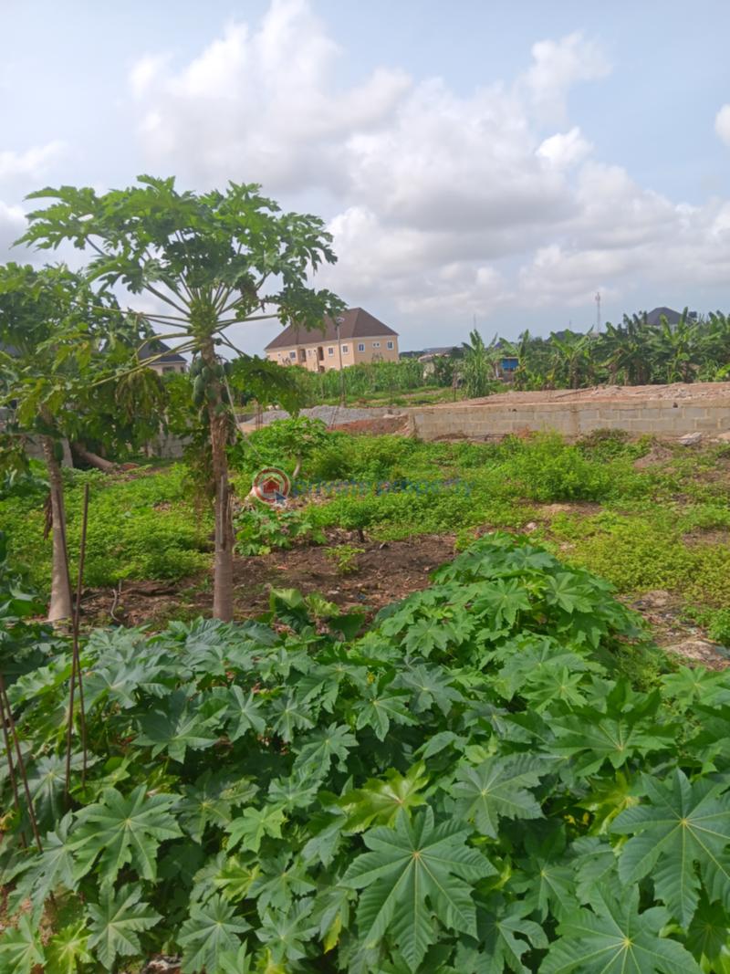 Mixed use Land For Rent Valley View Estate Ebute Ikorodu Lagos - 2