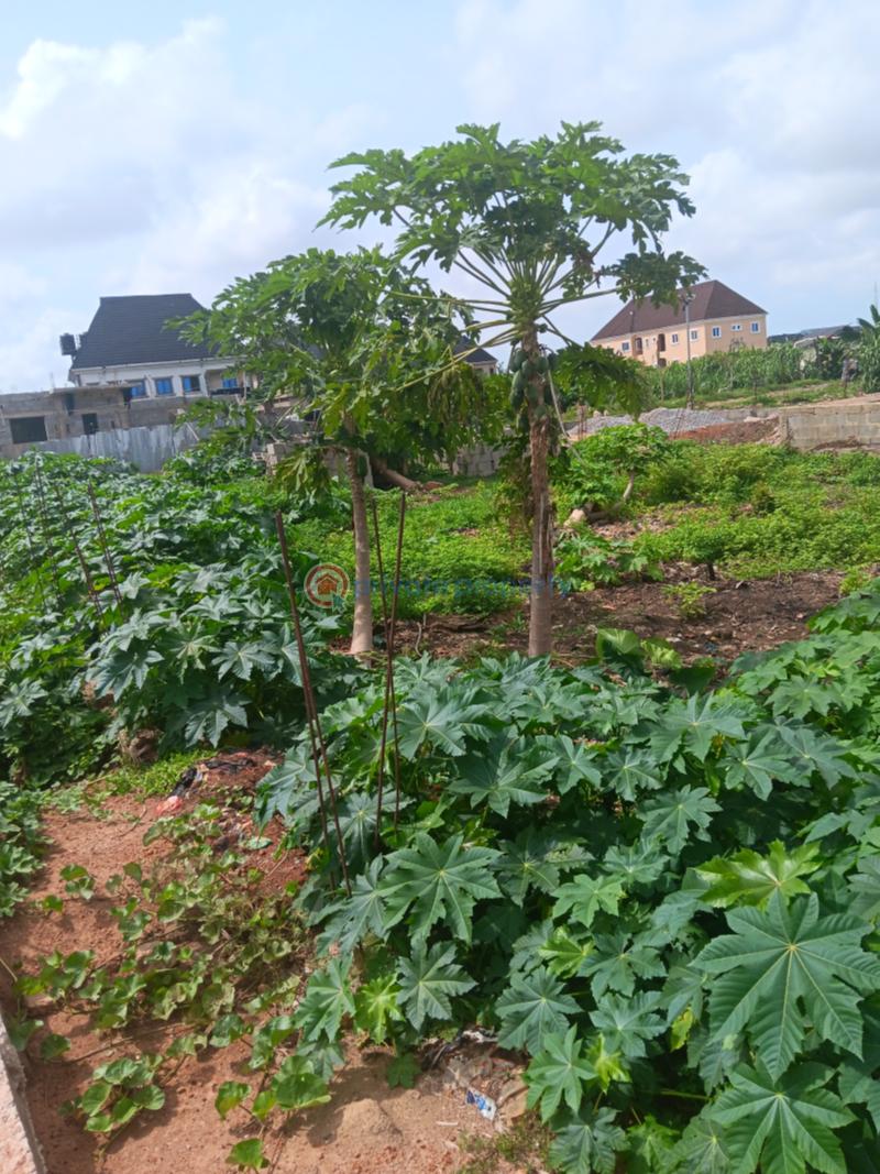 Mixed use Land For Rent Valley View Estate Ebute Ikorodu Lagos - 3