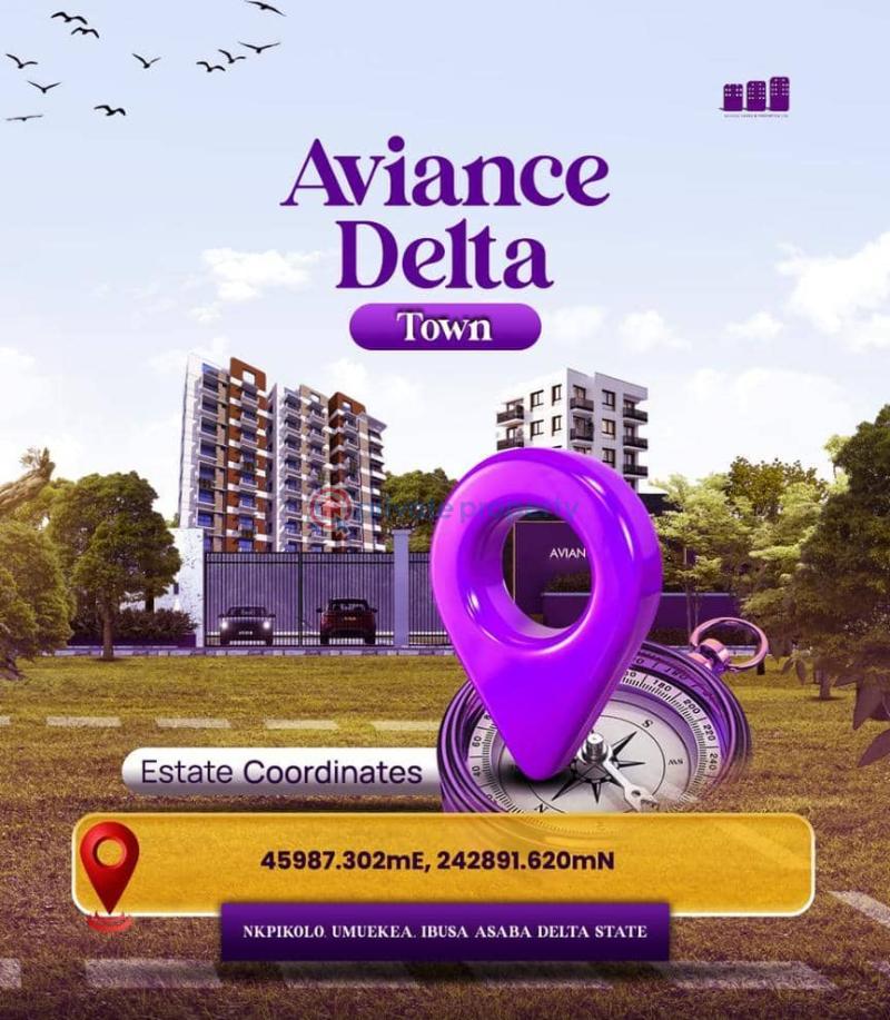 Residential Land For Sale Avians Delta Town Located At Nkpikola Umuekea Ibusa Asaba Delta