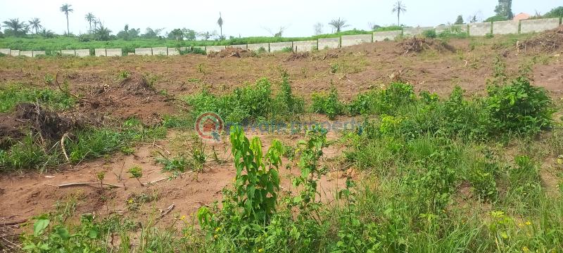 Residential Land For Sale Kapital City Estate Ketu Epe Ikorodu Road Epe Lagos - 9