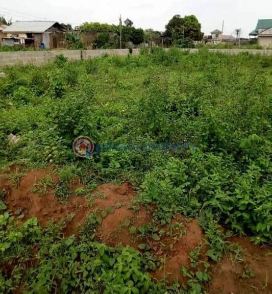 Mixed use Land For Sale Ibeshe Ikorodu Lagos - 0