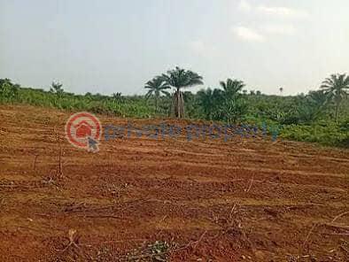 Mixed use Land For Sale Ebute Ikorodu Lagos - 0