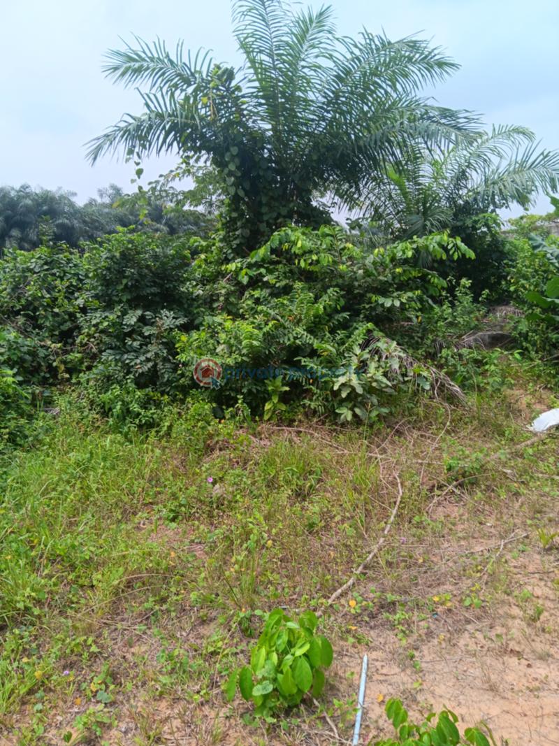 Residential Land For Sale Ebute Ikorodu Lagos - 0